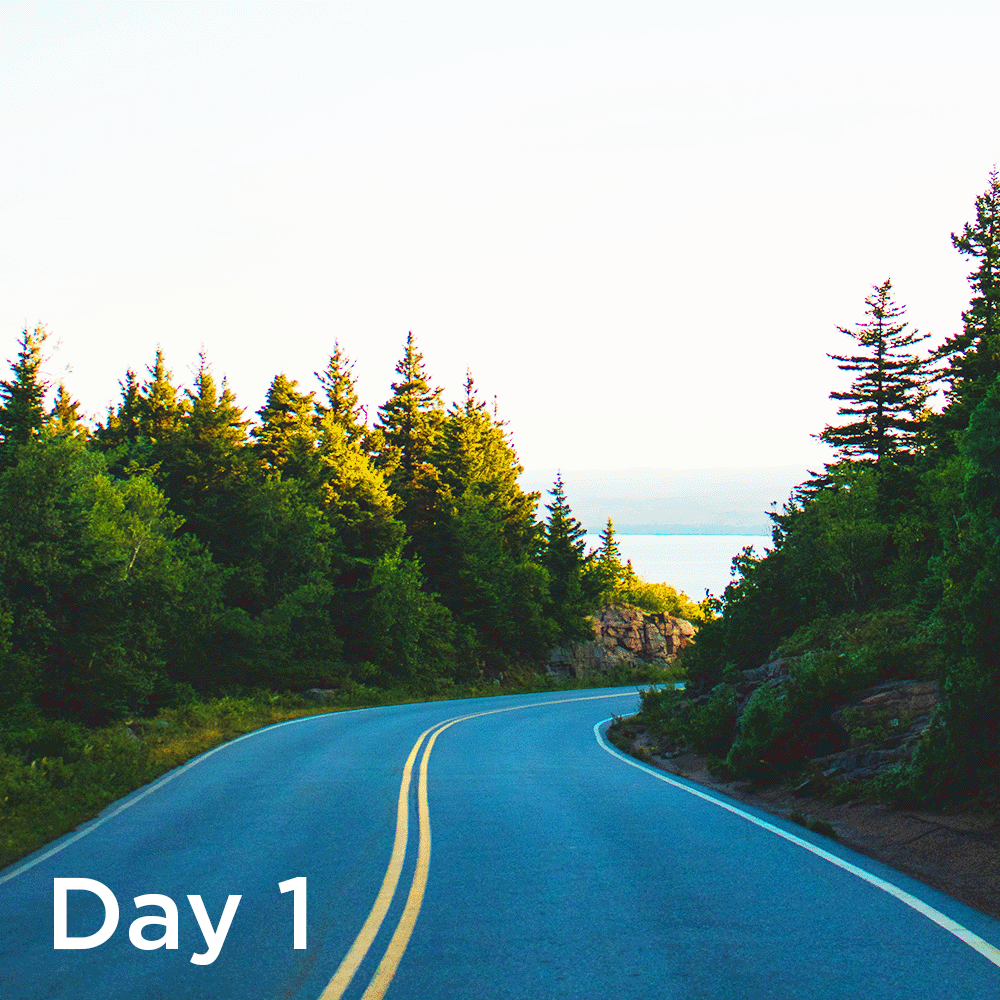 Day1 Purpose Driven